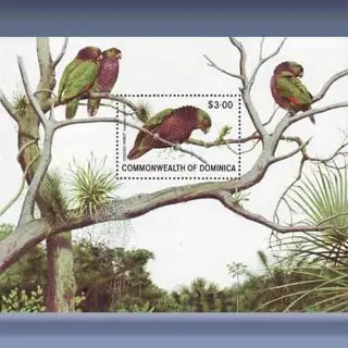 Vogels (1981)