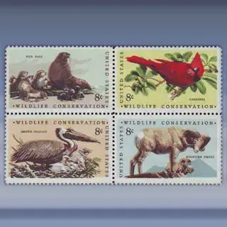 Wildlife Conservation (1972)