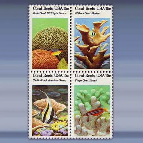 Schelpen en Koralen (1980)