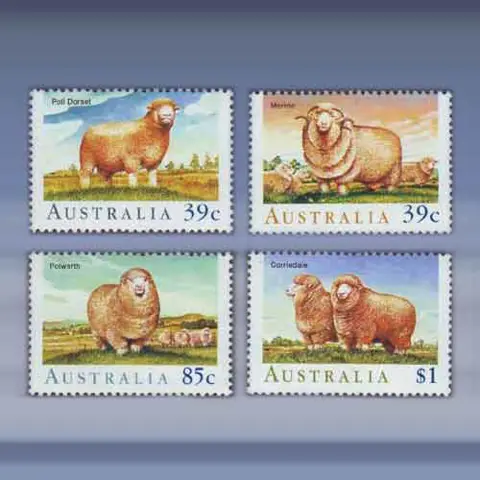 Schapen (1989)