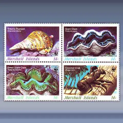Schelpen en Koralen (1986)