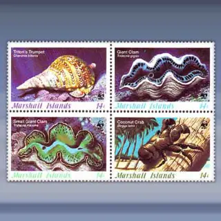 Schelpen en Koralen (1986)