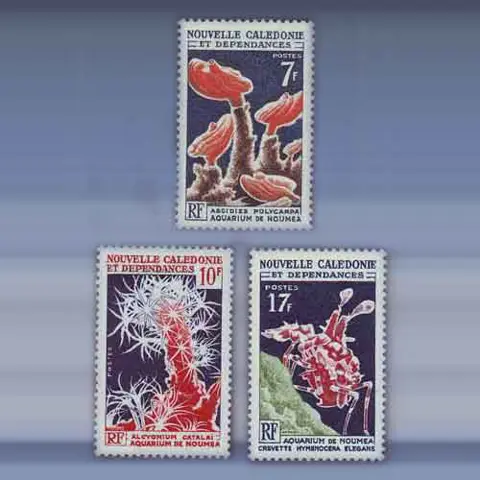 Noumea aquarium (1964)