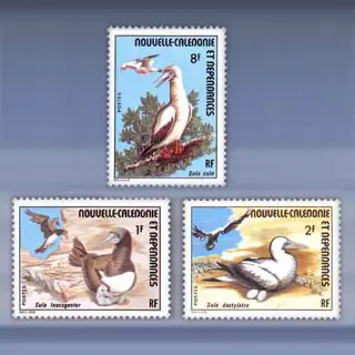 Zeevogels (1976)