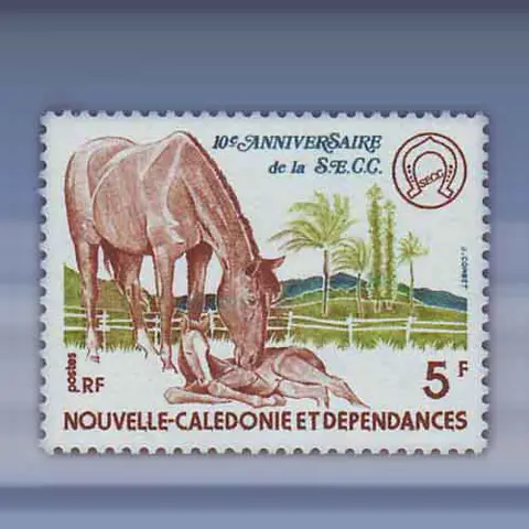 Paarden (1977)