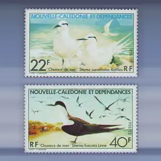 Vogels (1978)