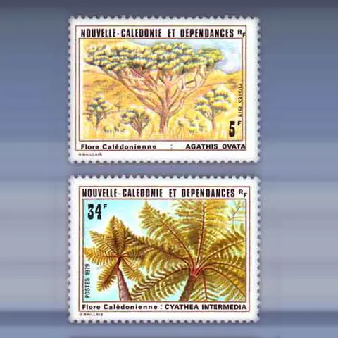 Flora (1979)