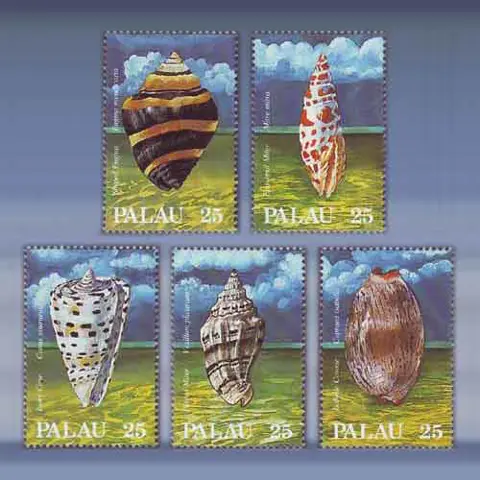 Schelpen (1988)
