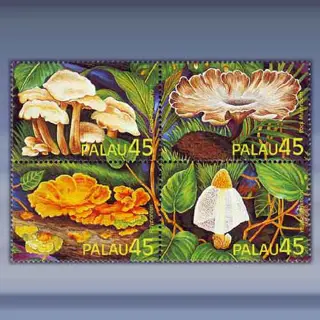 Paddestoelen (1989)
