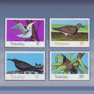 Vogels (1977)