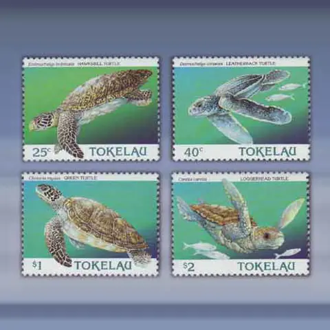 Zeeschildpadden (1995)