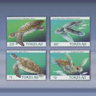 Zeeschildpadden (1995)