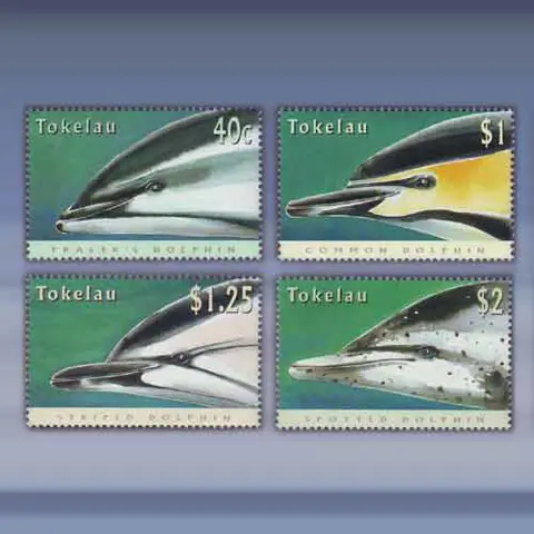 Dolfijnen (1996)