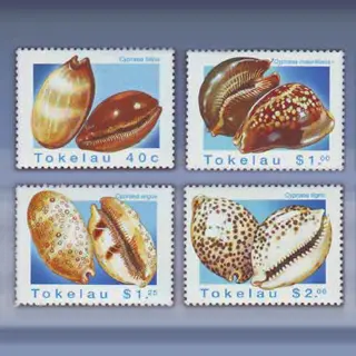 Schelpen (1996)