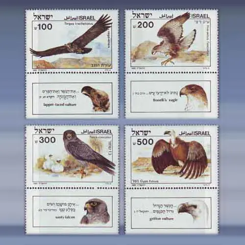 Bijbelse  vogels (1985)