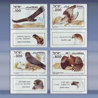 Bijbelse  vogels (1985)