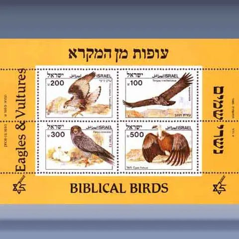 Bijbelse  vogels (1985)