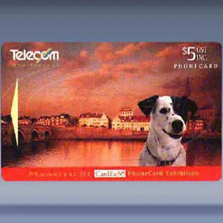 New Zealand, Telecom (1995)