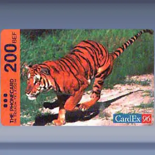 Belgium, In Touch (Tiger) (1996)