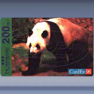 Belgium, In Touch (Panda) (1996)