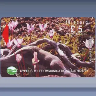 Akamas Forest (1992)