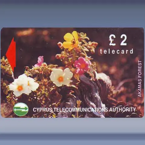 Akamas Forest (1992)