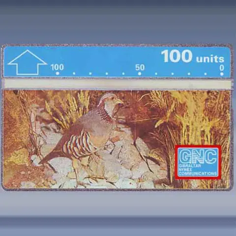Barbary Partridge (1992)