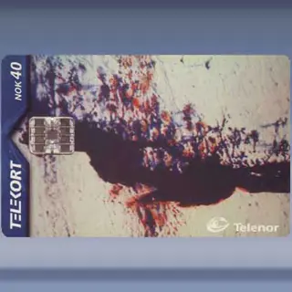 Heske (2000)