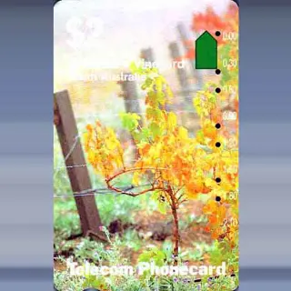 Vineyard (1990)