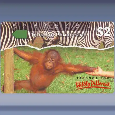 Taronga Zoo (1991)