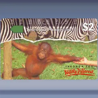 Taronga Zoo (1991)