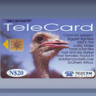 Vogels van Namibië (1999)