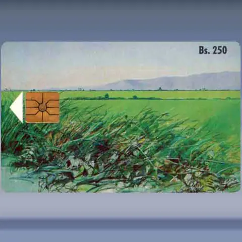 Paisaje N° 1 (1993)