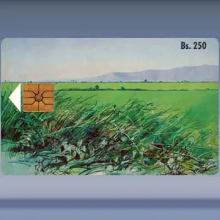 Paisaje N° 1 (1993)