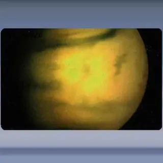 Venus  2/10 (1995)