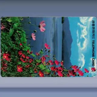 Bloemen (1992)