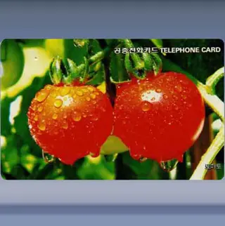 Tomaten (1995)