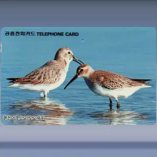 Vogels (1995)