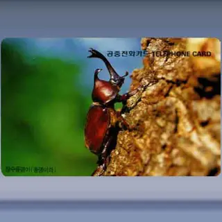 Insecten (1996)