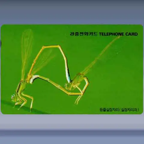 Insecten (1996)