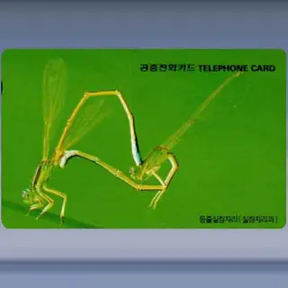Insecten (1996)
