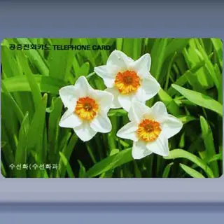 Narcissen (1996)