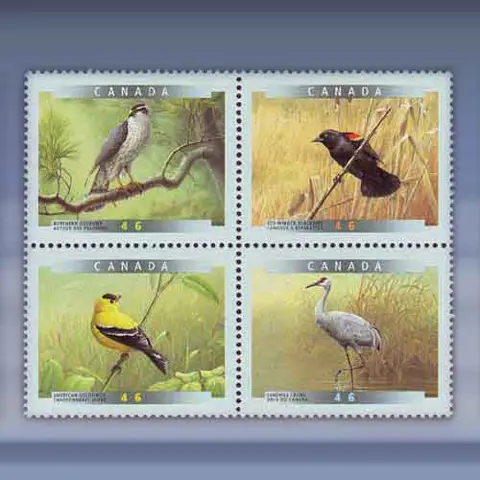 Vogels (1999)