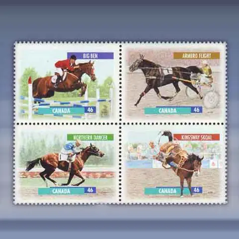 Paarden sport (1999)