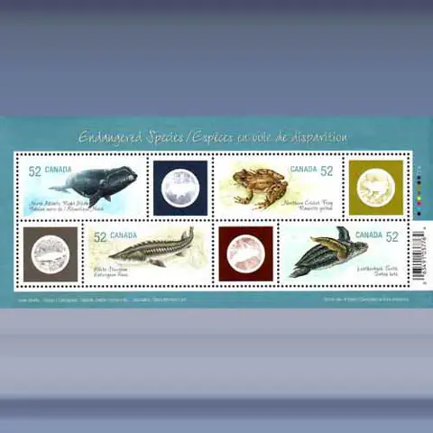 Endangered Species (2007)