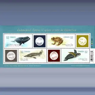 Endangered Species (2007)