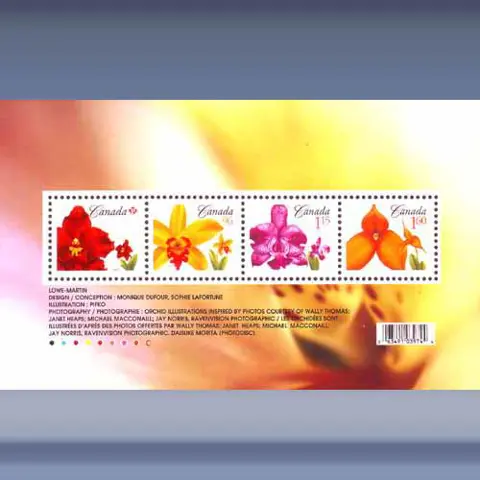 Orchideen (2007)