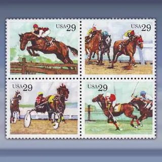 Paardensport (1993)