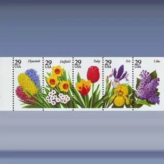 Bloemen (1993)