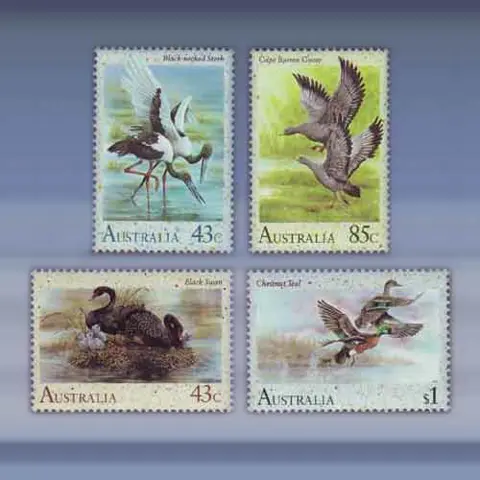 Watervogels (1991)
